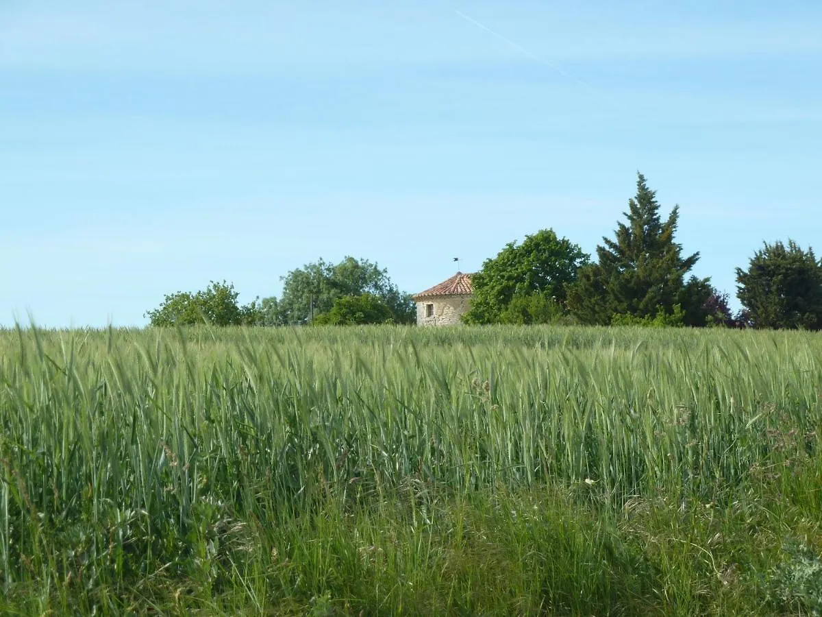 Chateau De Puissentut Bed & Breakfast Homps  0*, Homps (Gers)
