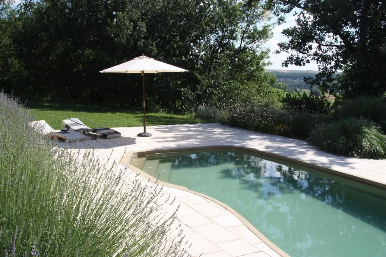 Chateau De Puissentut Bed & Breakfast Homps