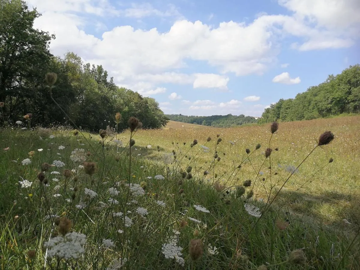 Chateau De Puissentut Bed & Breakfast Homps   Homps (Gers)