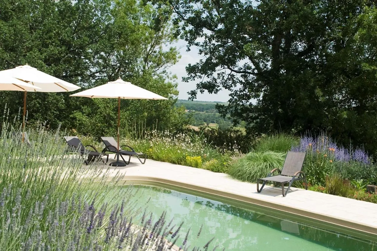 Chateau De Puissentut Bed & Breakfast Homps  France